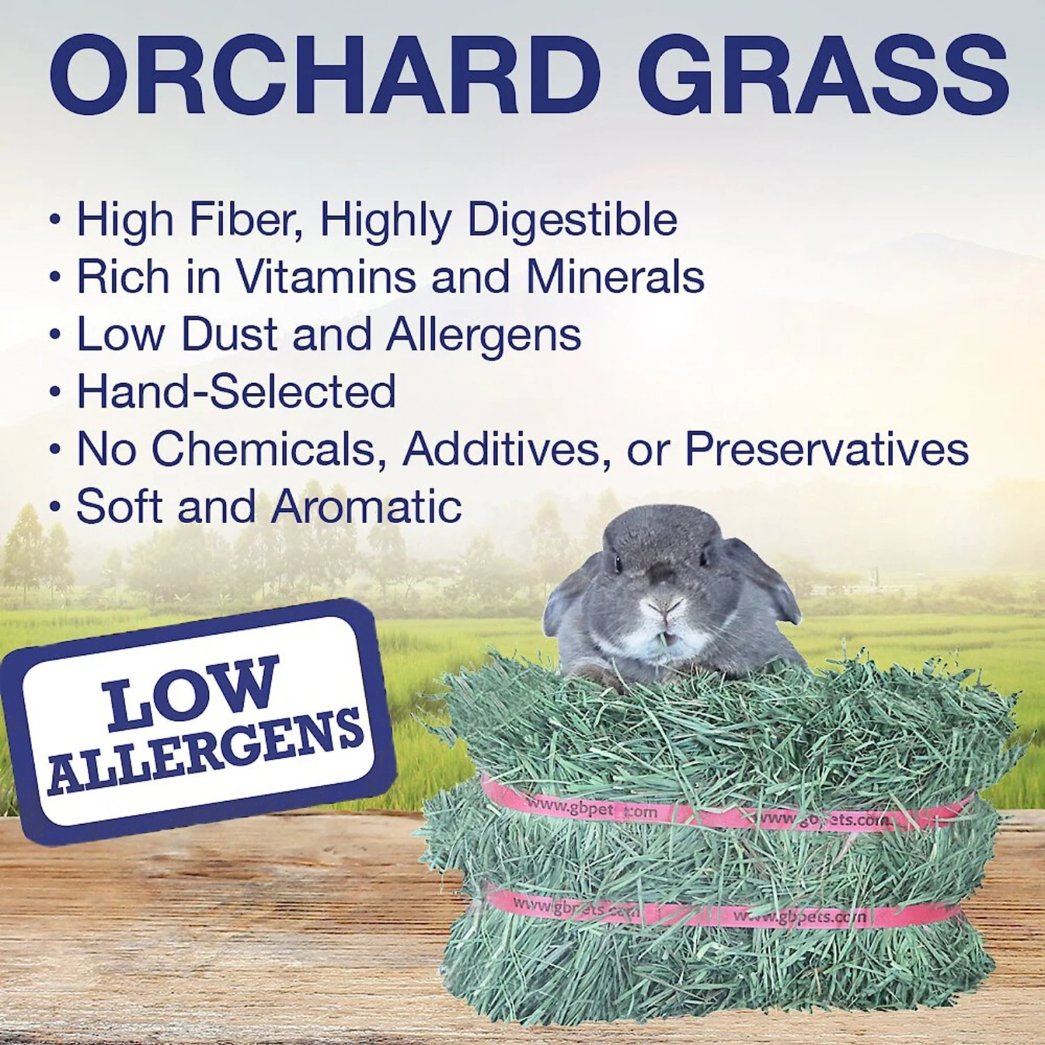 Grandpa's Best Orchard Grass Hay Small Pet Food 3 Grandpa's Best Orchard Grass Hay Small Pet Food - Image 3