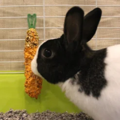 Vitakraft Crunch Sticks Carrot & Honey Rabbit Treat 9 Vitakraft Crunch Sticks Carrot & Honey Rabbit Treat -MiniMates Shop 234260 PT3. AC SS1800 V1666649912