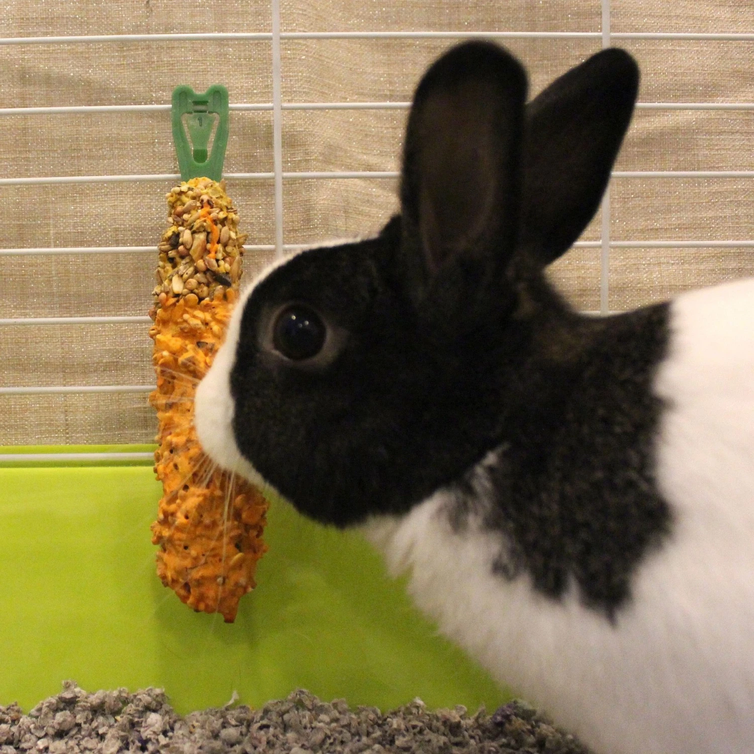 Vitakraft Crunch Sticks Carrot & Honey Rabbit Treat 4 Vitakraft Crunch Sticks Carrot & Honey Rabbit Treat - Image 4