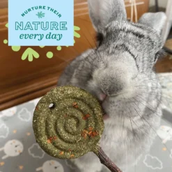 Oxbow Enriched Life Apple Timothy Lollipop Small Pet Chew Toy -MiniMates Shop 235139 PT3. AC SS1800 V1661822574