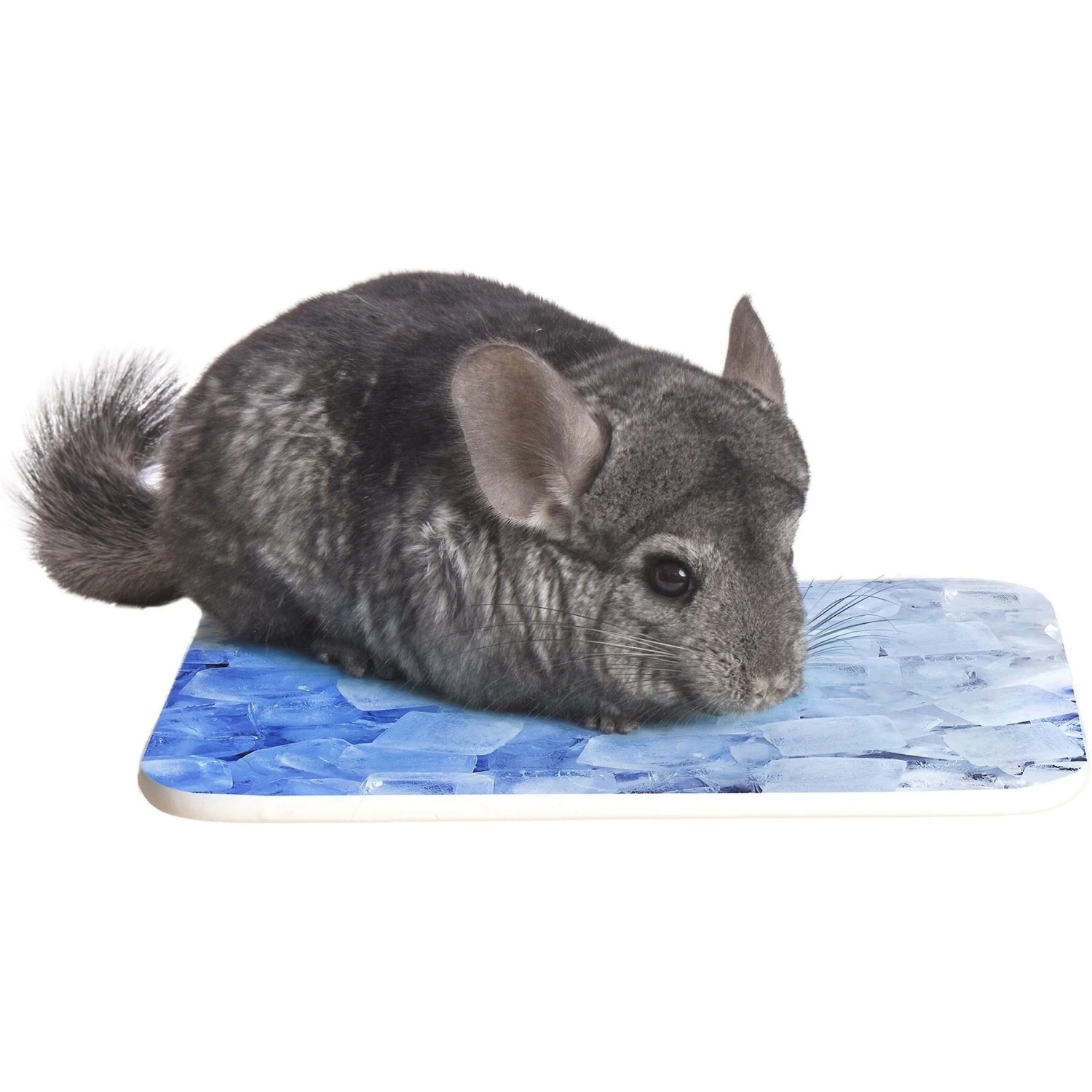 Ware Small Animal Chill Stone 2 Ware Small Animal Chill Stone - Image 2