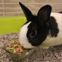 Vitakraft Vita Smart Complete Nutrition Premium Fortified Blend With Timothy Hay Rabbit Food, 8-lb Bag 11 Vitakraft Vita Smart Complete Nutrition Premium Fortified Blend With Timothy Hay Rabbit Food, 8-lb Bag -MiniMates Shop 236584 PT4. AC SS1800 V1666651508