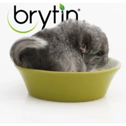 Brytin All-Natural Chinchilla Dust Bath, 2.5-lb Bag 5 Brytin All-Natural Chinchilla Dust Bath, 2.5-lb Bag -MiniMates Shop 236627 PT3. AC SS1800 V1595426784