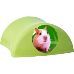 Lixit Critter Hollow Small Animal Hideout, Color Varies