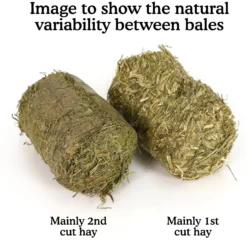 Naturals By Rosewood Meadow Hay Bales Small Pet Treats -MiniMates Shop 248269 PT2. AC SS1800 V1618874262