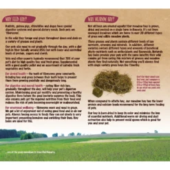 Naturals By Rosewood Meadow Hay Bales Small Pet Treats -MiniMates Shop 248269 PT4. AC SS1800 V1618869116