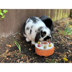 Naturals By Rosewood Celebration Cake Small Pet Treats -MiniMates Shop 248297 PT6. AC SS1800 V1602721576