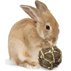 SunGrow Rabbit & Ferret Dental Floss Chew Toy Small Animal Tooth Cleaning Treat