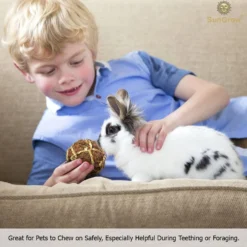 SunGrow Rabbit & Ferret Dental Floss Chew Toy Small Animal Tooth Cleaning Treat -MiniMates Shop 251428 PT2. AC SS1800 V1614955296