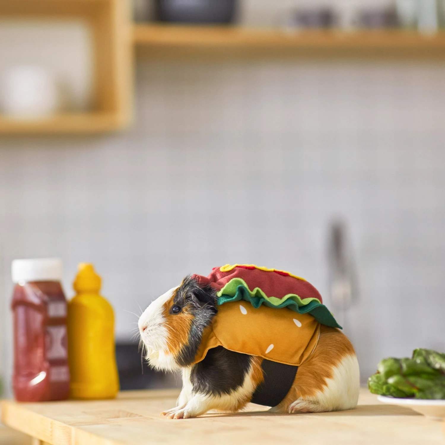 Frisco Hotdog Guinea Pig Costume, One Size 5 Frisco Hotdog Guinea Pig Costume, One Size - Image 5