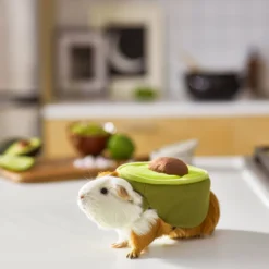 Frisco Avocado Guinea Pig Costume, One Size 9 Frisco Avocado Guinea Pig Costume, One Size -MiniMates Shop 261095 PT8. AC SS1800 V1624454728