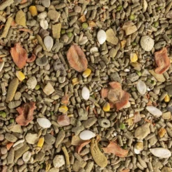 Kaytee Fiesta Natural Guinea Pig Food, 4.5-lb Bag -MiniMates Shop 261962 PT3. AC SS1800 V1623682076