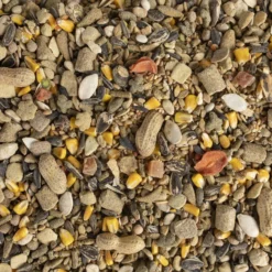 Kaytee Fiesta Natural Mouse & Rat Food, 4.5-lb Bag -MiniMates Shop 261964 PT2. AC SS1800 V1623682122