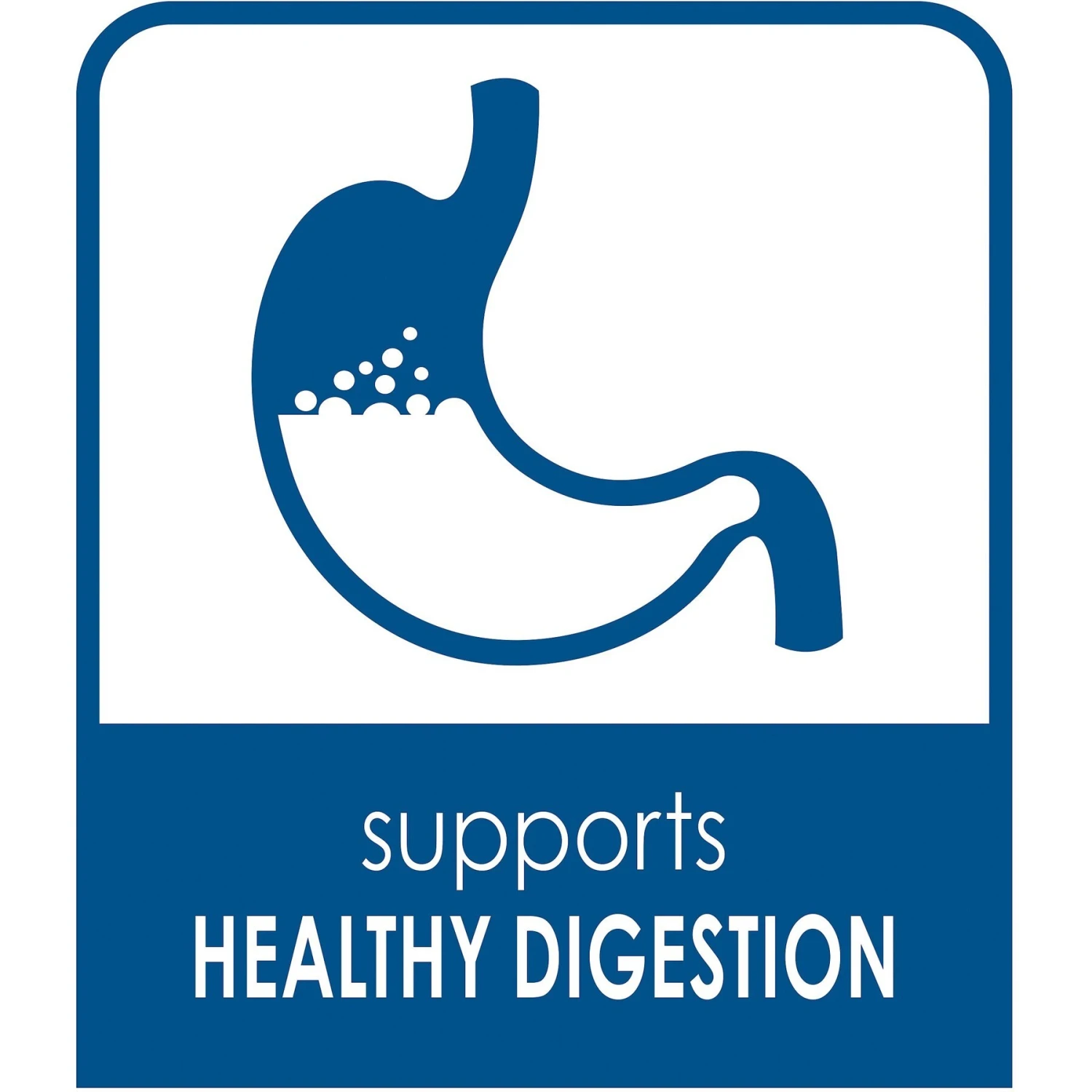 Kaytee Fiesta Natural Hamster & Gerbil Food, 4.5-lb Bag 5 Kaytee Fiesta Natural Hamster & Gerbil Food, 4.5-lb Bag - Image 5