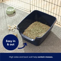 Frisco High Sided Small Pet Litter Box -MiniMates Shop 264925 PT2. AC SS1800 V1675279993