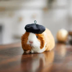 Frisco French Beret Guinea Pig Costume Hat, One Size -MiniMates Shop 265891 PT8. AC SS1800 V1624337078