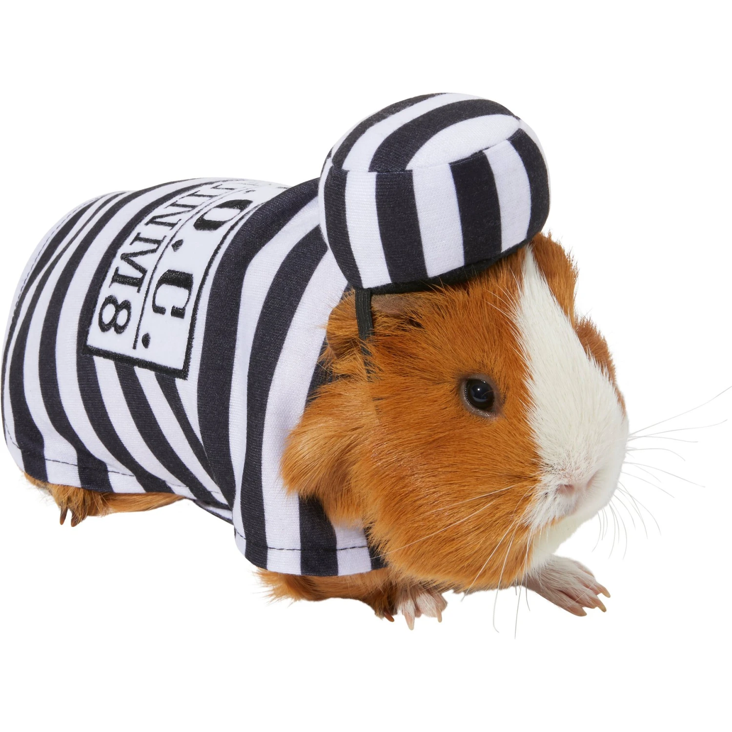 Frisco Prisoner Guinea Pig Costume, One Size 1 Frisco Prisoner Guinea Pig Costume, One Size