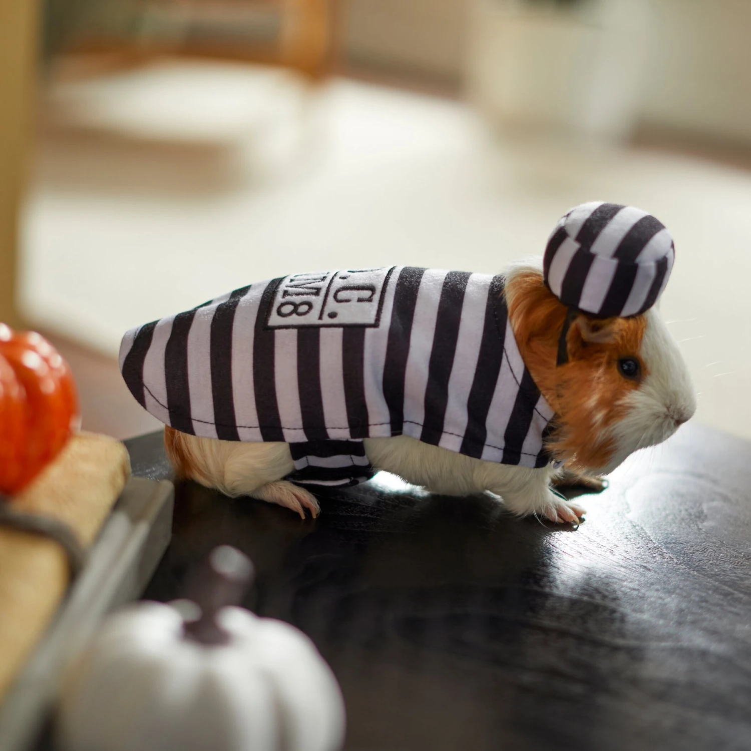 Frisco Prisoner Guinea Pig Costume, One Size 6 Frisco Prisoner Guinea Pig Costume, One Size - Image 6