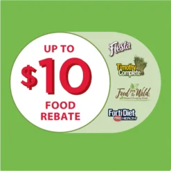 Kaytee My First Home Guinea Pig & Rabbit Starter Kit 16 Kaytee My First Home Guinea Pig & Rabbit Starter Kit -MiniMates Shop 266217 PT7. AC SS1800 V1696945594