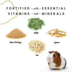 Manna Pro Crafted & Complete Guinea Pig Food, 5-lb Bag 9 Manna Pro Crafted & Complete Guinea Pig Food, 5-lb Bag -MiniMates Shop 269209 PT3. AC SS1800 V1611267992