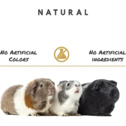 Manna Pro Crafted & Complete Guinea Pig Food, 5-lb Bag 11 Manna Pro Crafted & Complete Guinea Pig Food, 5-lb Bag -MiniMates Shop 269209 PT5. AC SS1800 V1611271060