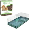 MidWest Guinea Habitat Guinea Pig Home & Carefresh Small Animal Bedding, Natural