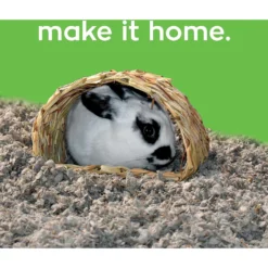 MidWest Guinea Habitat Guinea Pig Home & Carefresh Small Animal Bedding, Natural 13 MidWest Guinea Habitat Guinea Pig Home & Carefresh Small Animal Bedding, Natural -MiniMates Shop 276734 PT6. AC SS1800 V1616192793