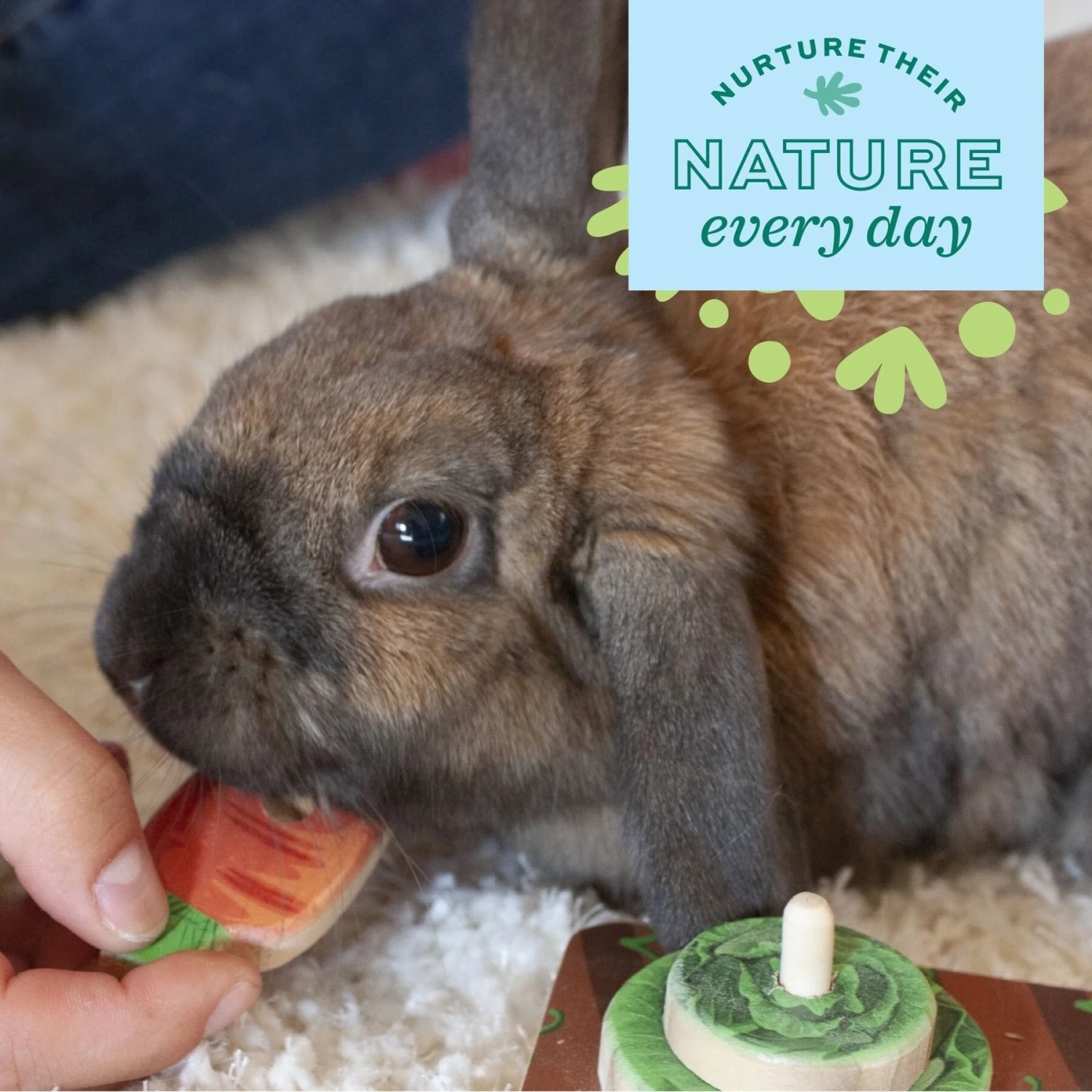 Oxbow Enriched Life Play Garden Small Animal Toy 4 Oxbow Enriched Life Play Garden Small Animal Toy - Image 4