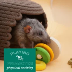 Oxbow Enriched Life Wobbly Ring Stack Small Animal Toy -MiniMates Shop 277232 PT6. AC SS1800 V1661822215