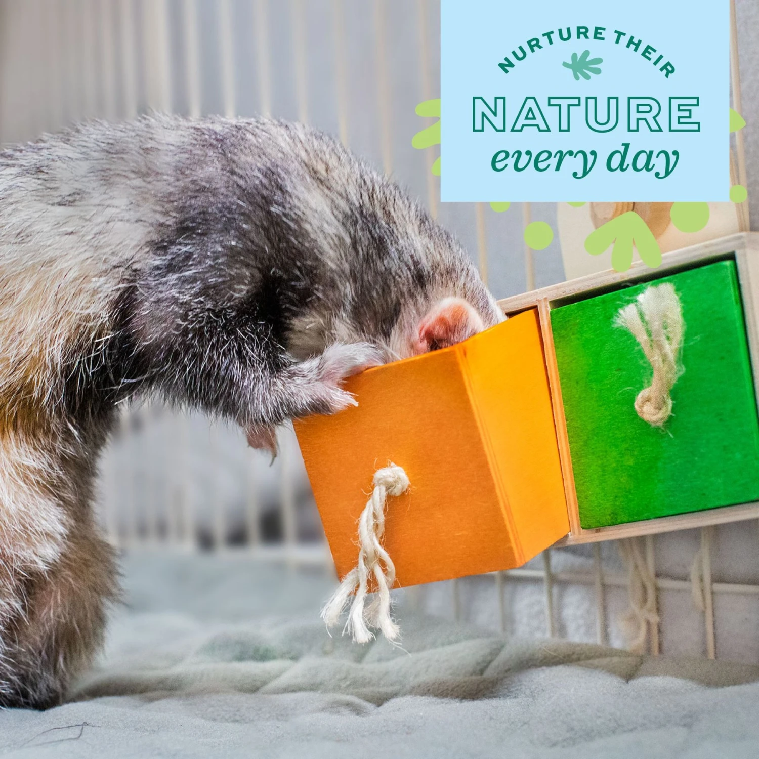 Oxbow Enriched Life Pull 'n Seek Small Animal Toy 5 Oxbow Enriched Life Pull 'n Seek Small Animal Toy - Image 5