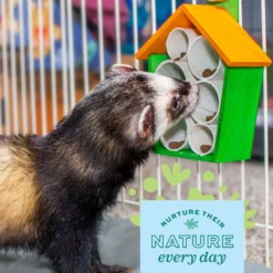 Oxbow Enriched Life The Treat House Small Animal Toy 12 Oxbow Enriched Life The Treat House Small Animal Toy -MiniMates Shop 277238 PT3. AC SS1800 V1660229301