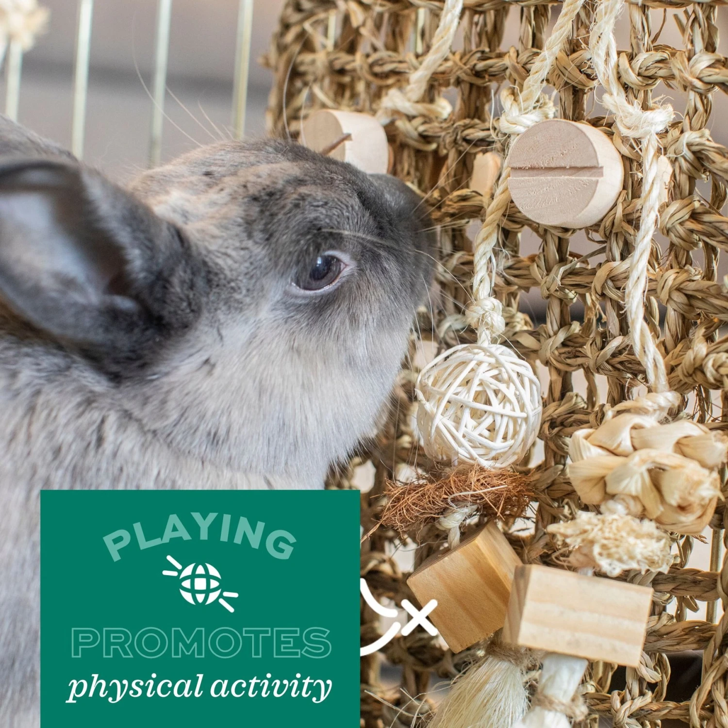 Oxbow Enriched Life Natural Kabob Small Animal Toy 9 Oxbow Enriched Life Natural Kabob Small Animal Toy - Image 9