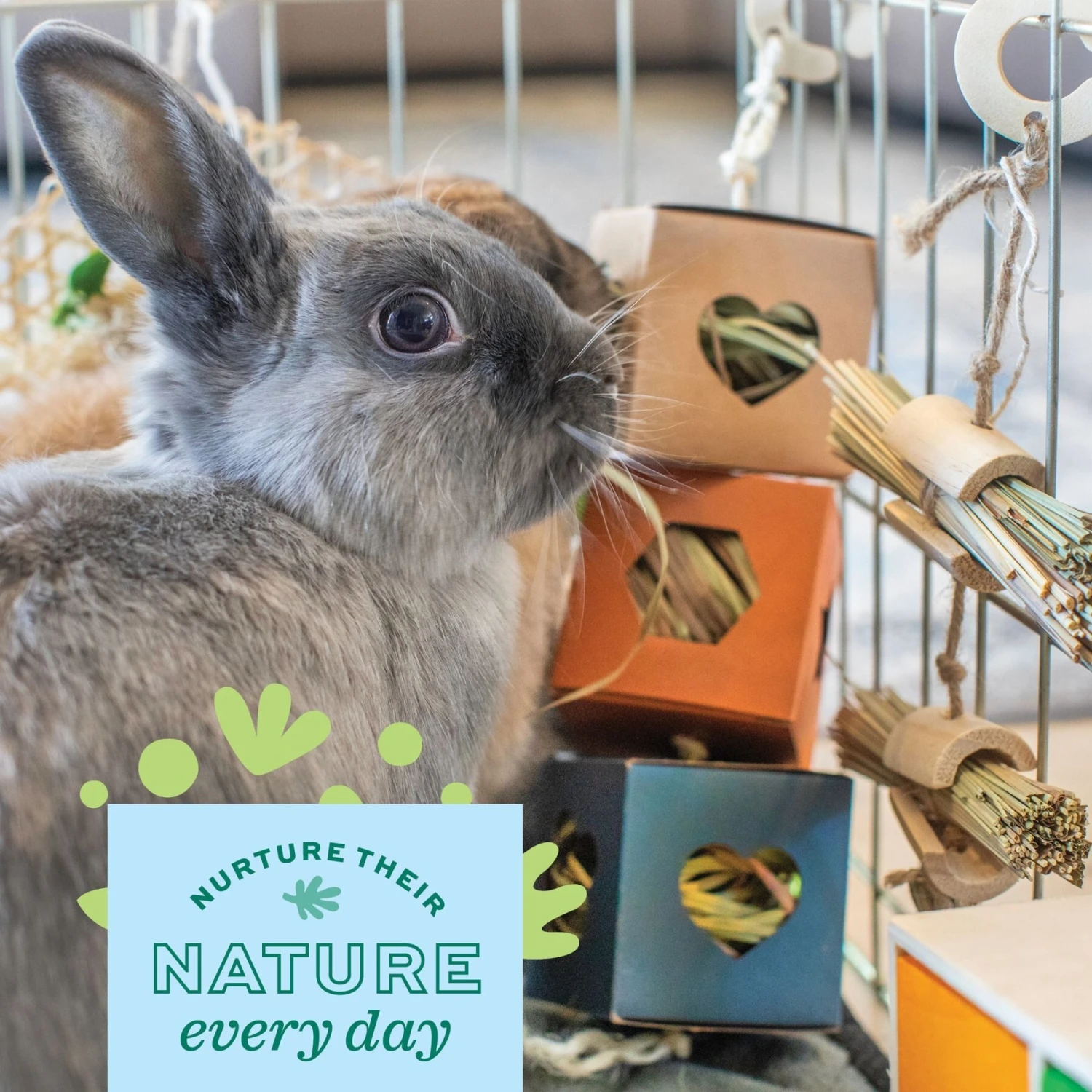 Oxbow Enriched Life Hide Box Hanger Small Animal Toy 4 Oxbow Enriched Life Hide Box Hanger Small Animal Toy - Image 4