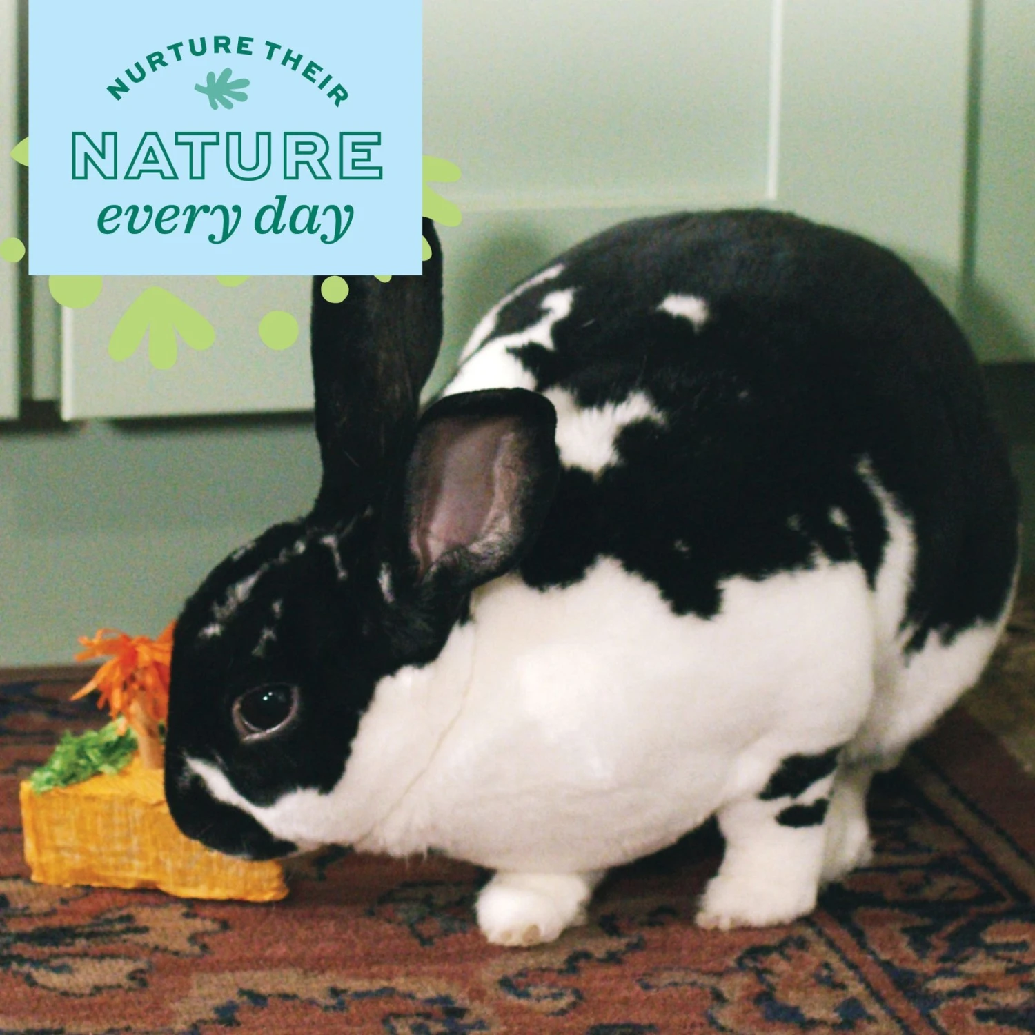 Oxbow Enriched Life Celebration Cake Small Animal Toy 4 Oxbow Enriched Life Celebration Cake Small Animal Toy - Image 4