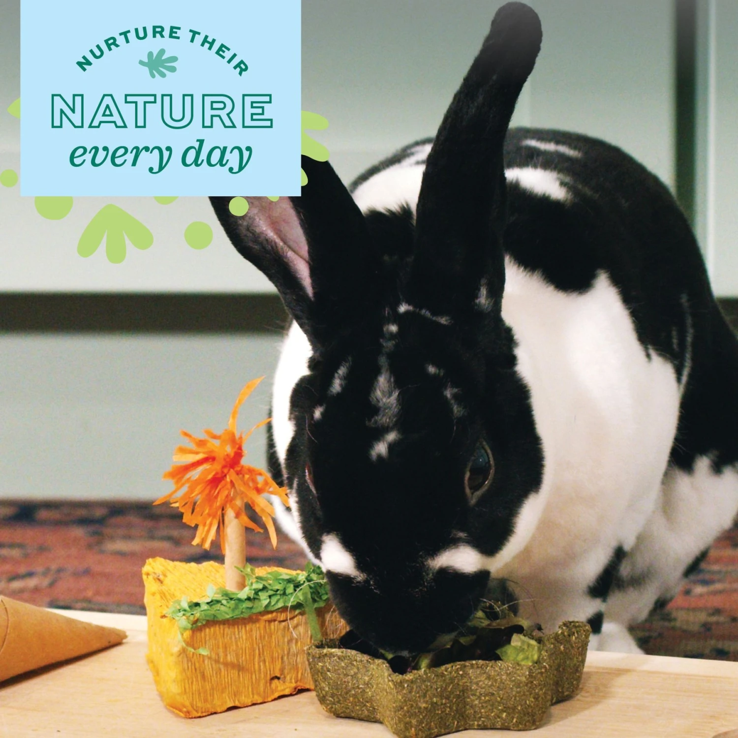 Oxbow Enriched Life Timothy Star Dish Small Animal Toy 4 Oxbow Enriched Life Timothy Star Dish Small Animal Toy - Image 4