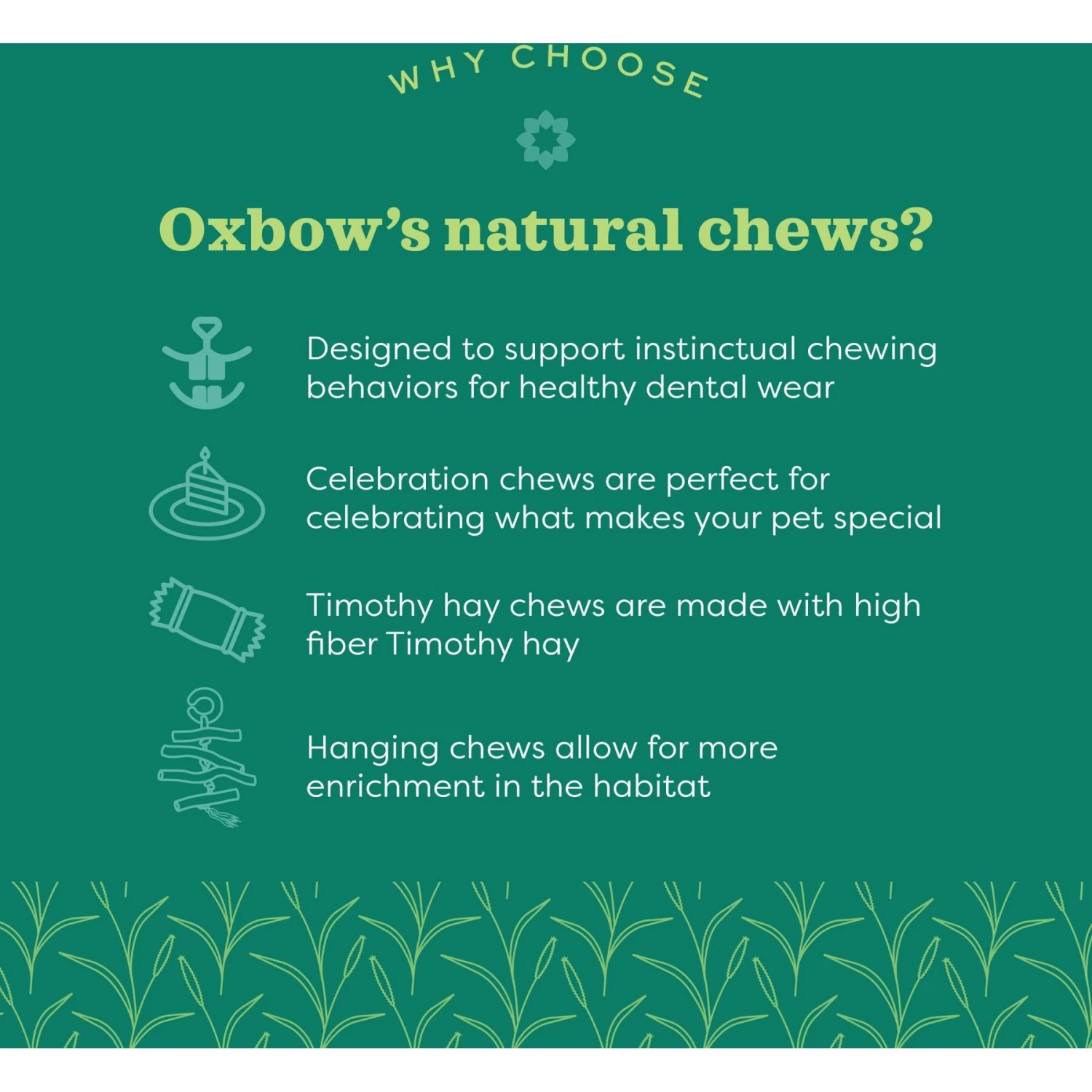 Oxbow Enriched Life Timothy Star Dish Small Animal Toy 8 Oxbow Enriched Life Timothy Star Dish Small Animal Toy - Image 8