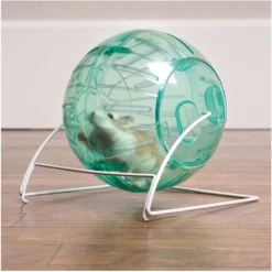 Oxbow Enriched Life 2 In 1 Fitness Ball Small Animal Toy -MiniMates Shop 277300 PT6. AC SS1800 V1661822571