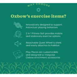 Oxbow Enriched Life Run Around Ball Small Animal Toy 16 Oxbow Enriched Life Run Around Ball Small Animal Toy -MiniMates Shop 277302 PT7. AC SS1800 V1661822509