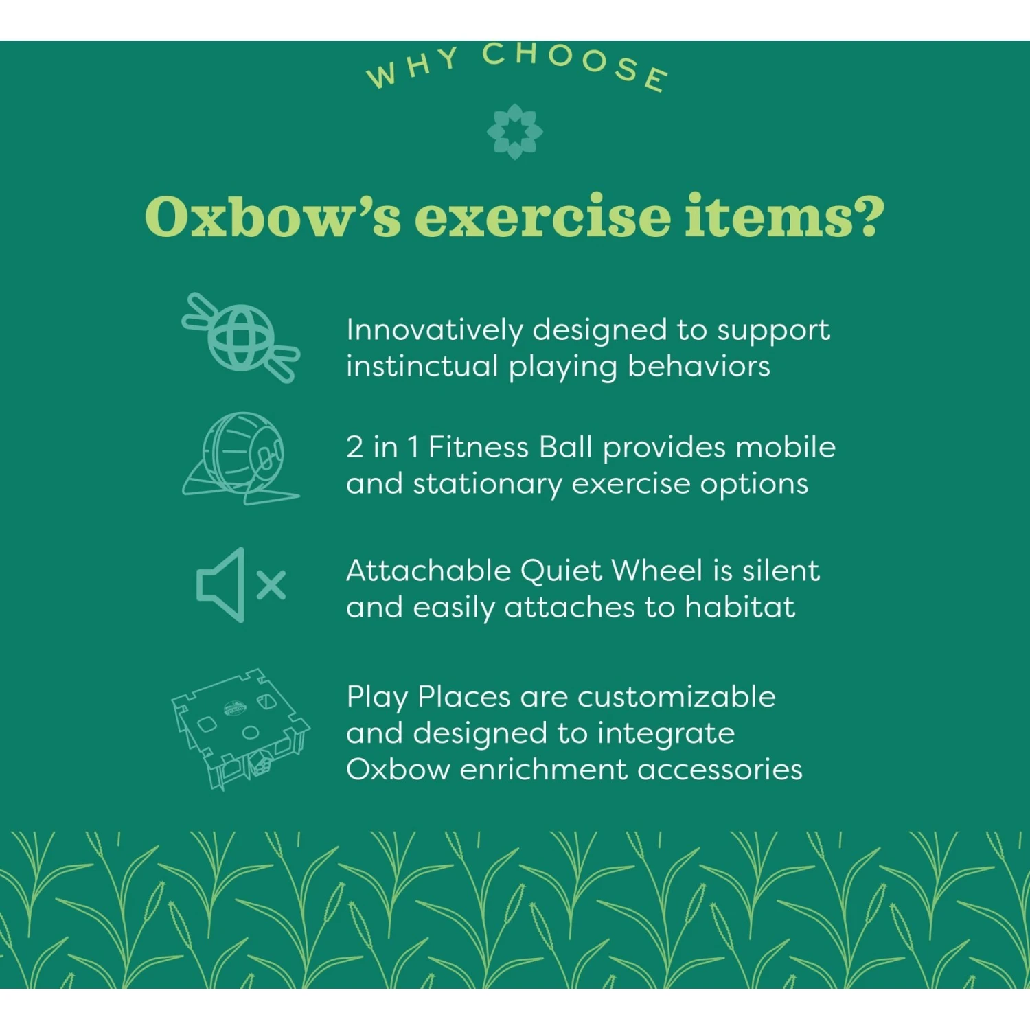 Oxbow Enriched Life Run Around Ball Small Animal Toy 8 Oxbow Enriched Life Run Around Ball Small Animal Toy - Image 8