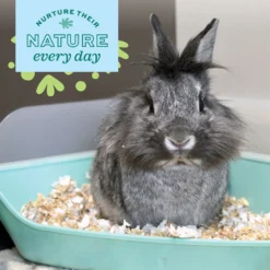 Oxbow Enriched Life Rectangle Small Animal Litter Pan With Removable Shield -MiniMates Shop 277308 PT2. AC SS1800 V1661822451