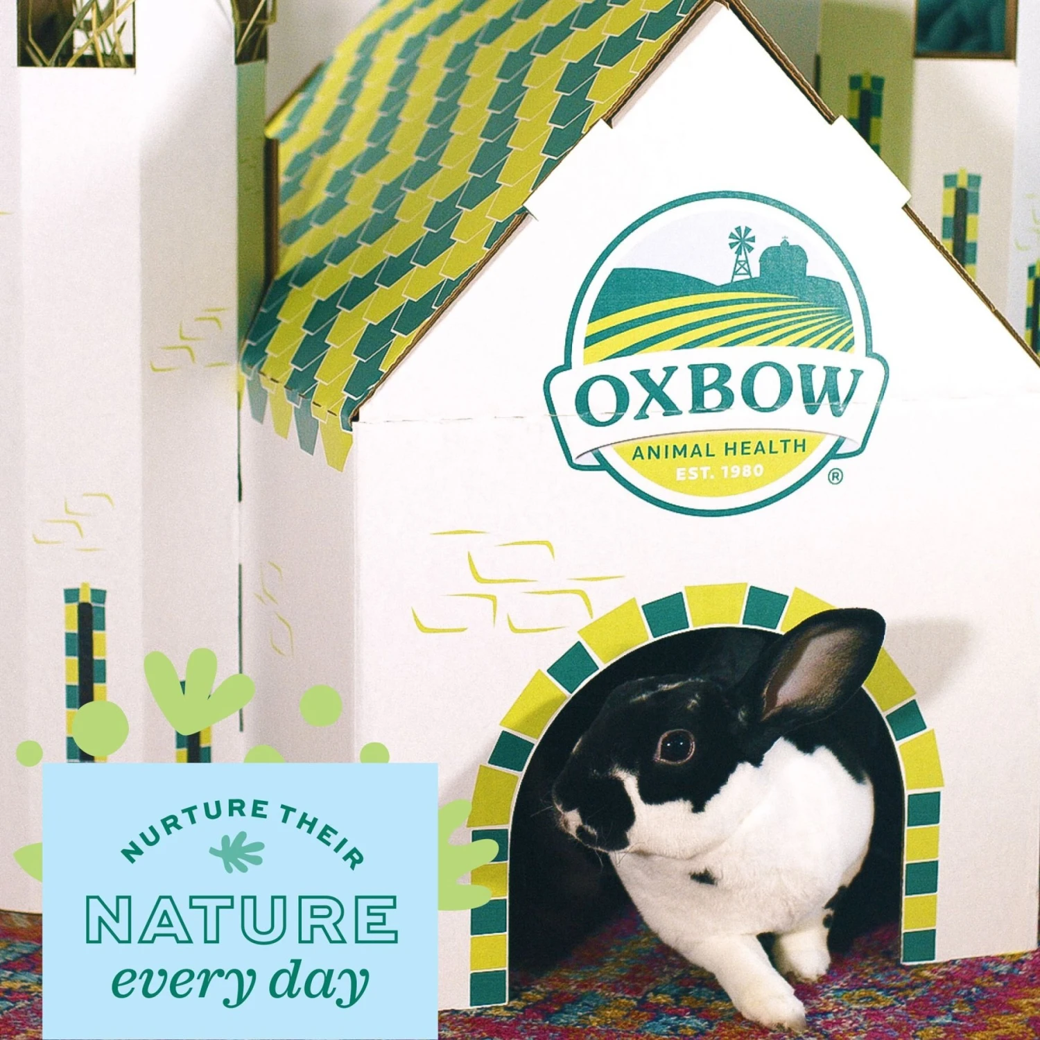 Oxbow Enriched Life Dream Castle Small Animal Hideaway 2 Oxbow Enriched Life Dream Castle Small Animal Hideaway - Image 2