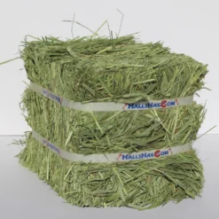 Hall's Hay Timothy Hay 1st Cut Mini-Bale Small Pet Food, 5-lb Box -MiniMates Shop 279374 PT2. AC SS1800 V1615936618