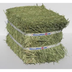 Hall's Hay Timothy Hay 2nd Cut Mini-Bale Small Pet Food, 5-lb Box -MiniMates Shop 279376 PT2. AC SS1800 V1615935436
