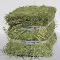 Hall's Hay Orchard Grass Hay Mini-Bale Small Pet Food, 5-lb Box 10 Hall's Hay Orchard Grass Hay Mini-Bale Small Pet Food, 5-lb Box -MiniMates Shop 279378 PT2. AC SS1800 V1615933353