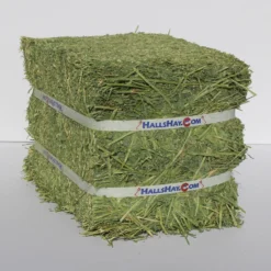 Hall's Hay Alfalfa Mini-Bale Small Pet Food, 6-lb Box -MiniMates Shop 279380 PT2. AC SS1800 V1615936630