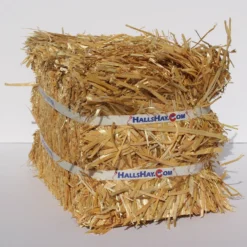Hall's Hay Wheat Straw Mini-Bale Small Pet Bedding, 4-lb Box -MiniMates Shop 279382 PT2. AC SS1800 V1615934801