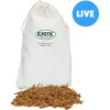 Exotic Nutrition Live Mealworms
