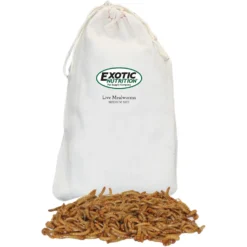 Exotic Nutrition Live Mealworms -MiniMates Shop 282793 PT8. AC SS1800 V1677263411