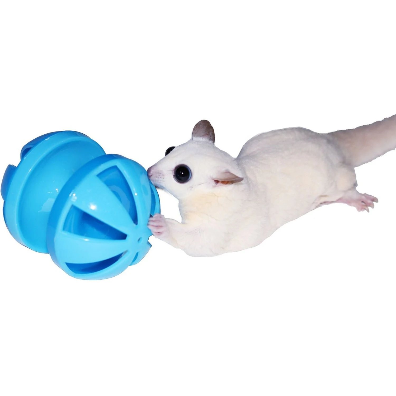 Exotic Nutrition Push & Play Small Animal Toy 2 Exotic Nutrition Push & Play Small Animal Toy - Image 2