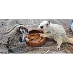 Exotic Nutrition Mealworm Munchies Hedgehog & Sugar Glider Treats, 1.96-oz Jar -MiniMates Shop 289562 PT3. AC SS1800 V1666131033